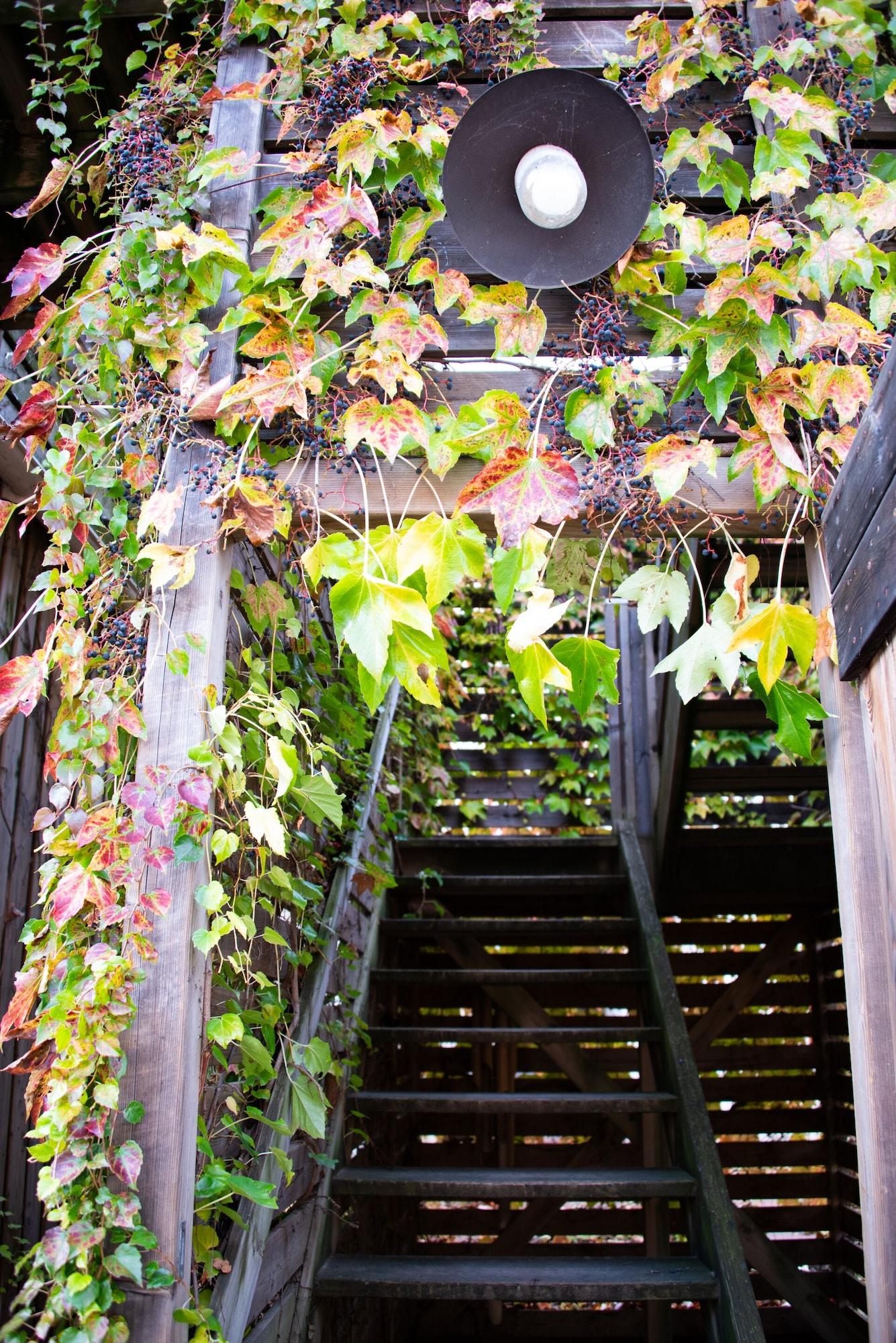 Vista Lobby Domaine La Bonne Etoile