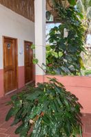 Alojamiento - Hotel Mar Azul