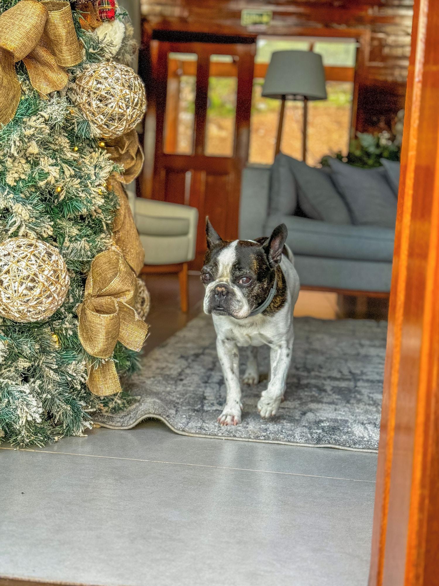 Vista Lobby Valle Ristretto Exclusivo para Casais