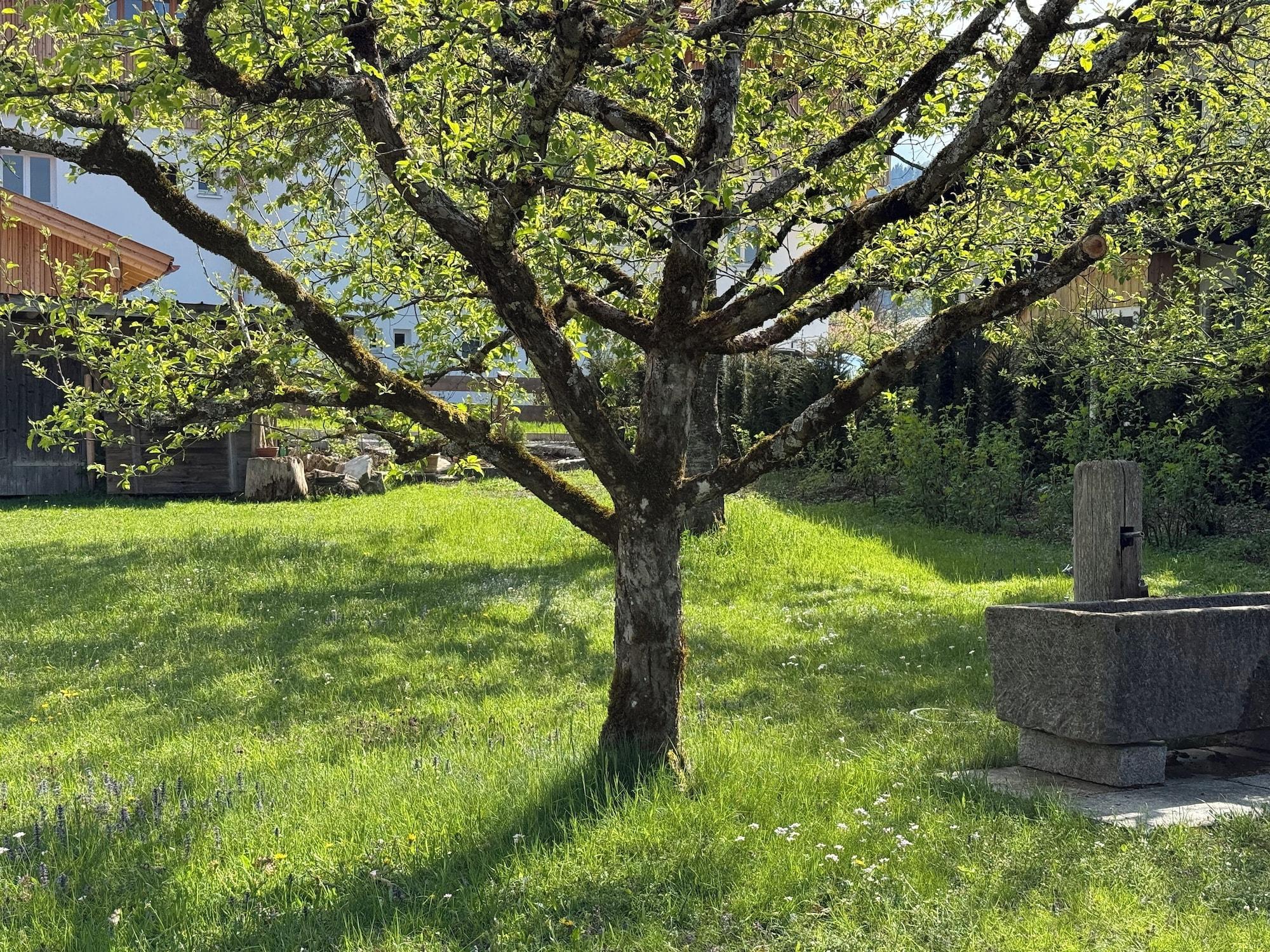 Vista Exterior Haus Kaiser