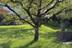 Alojamiento - Haus Kaiser