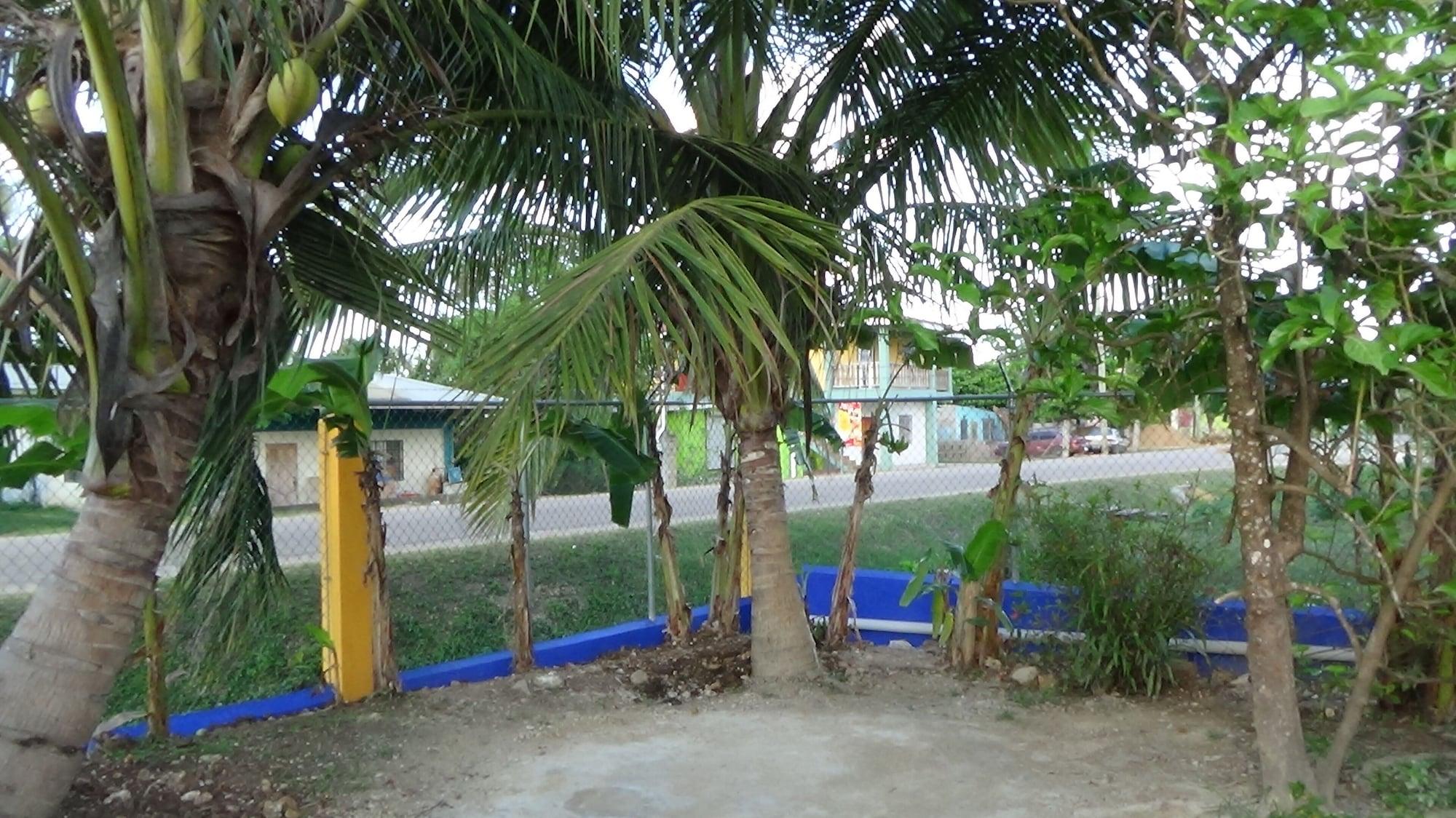 Comodidades del Alojamiento Hacienda Tropical Guest House