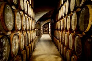 Passeio - Descubra Elqui: Vinhos, Pisco e Cerveja