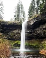 Alquiler Vacacional - Silver Falls Luxury Studio-1/2 mi from Silver Falls