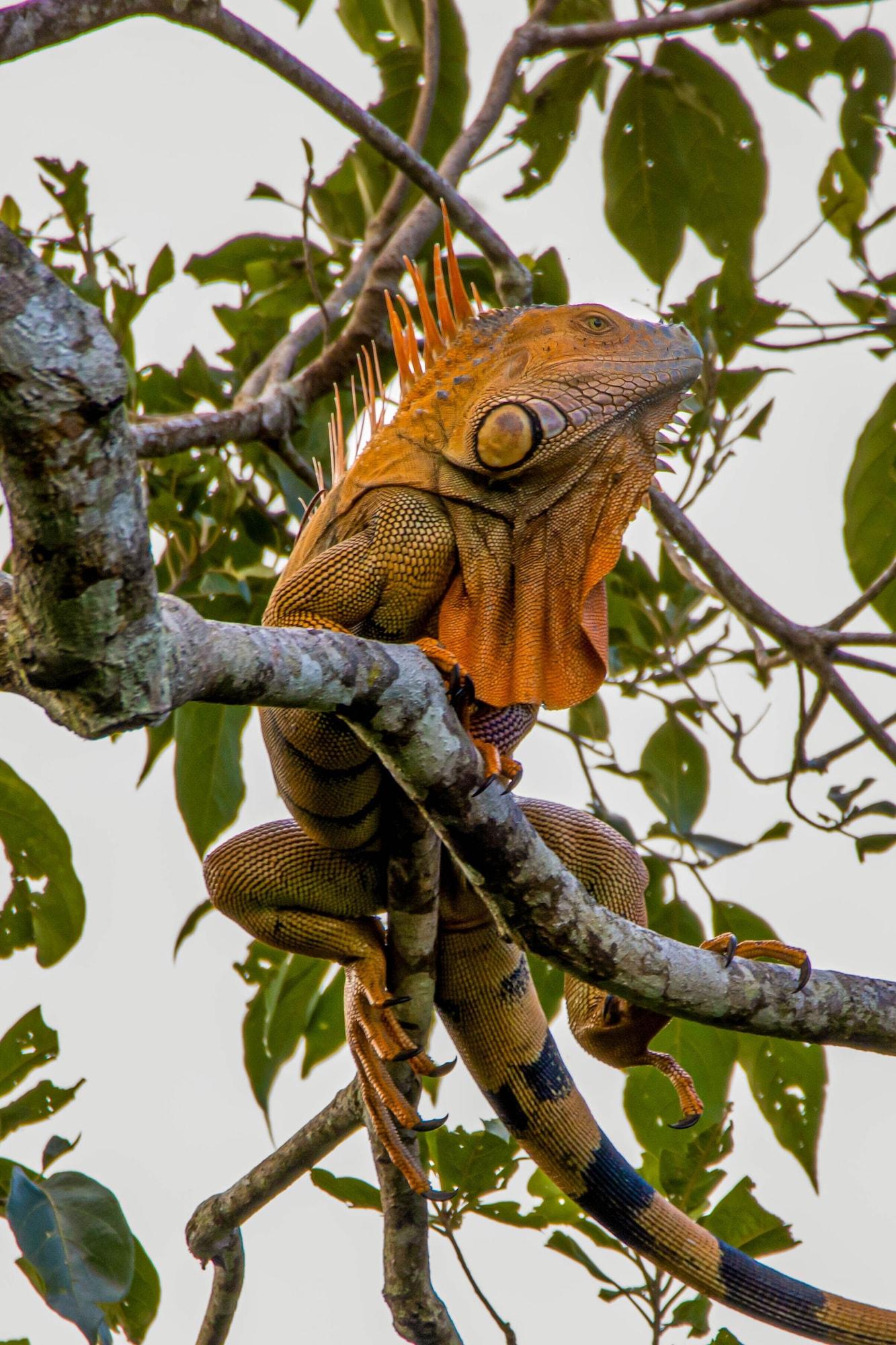 Vista Exterior Tifakara by the Waterfall