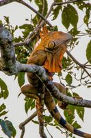 Alojamiento - Tifakara by the Waterfall