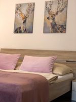 Alquiler Vacacional - Description