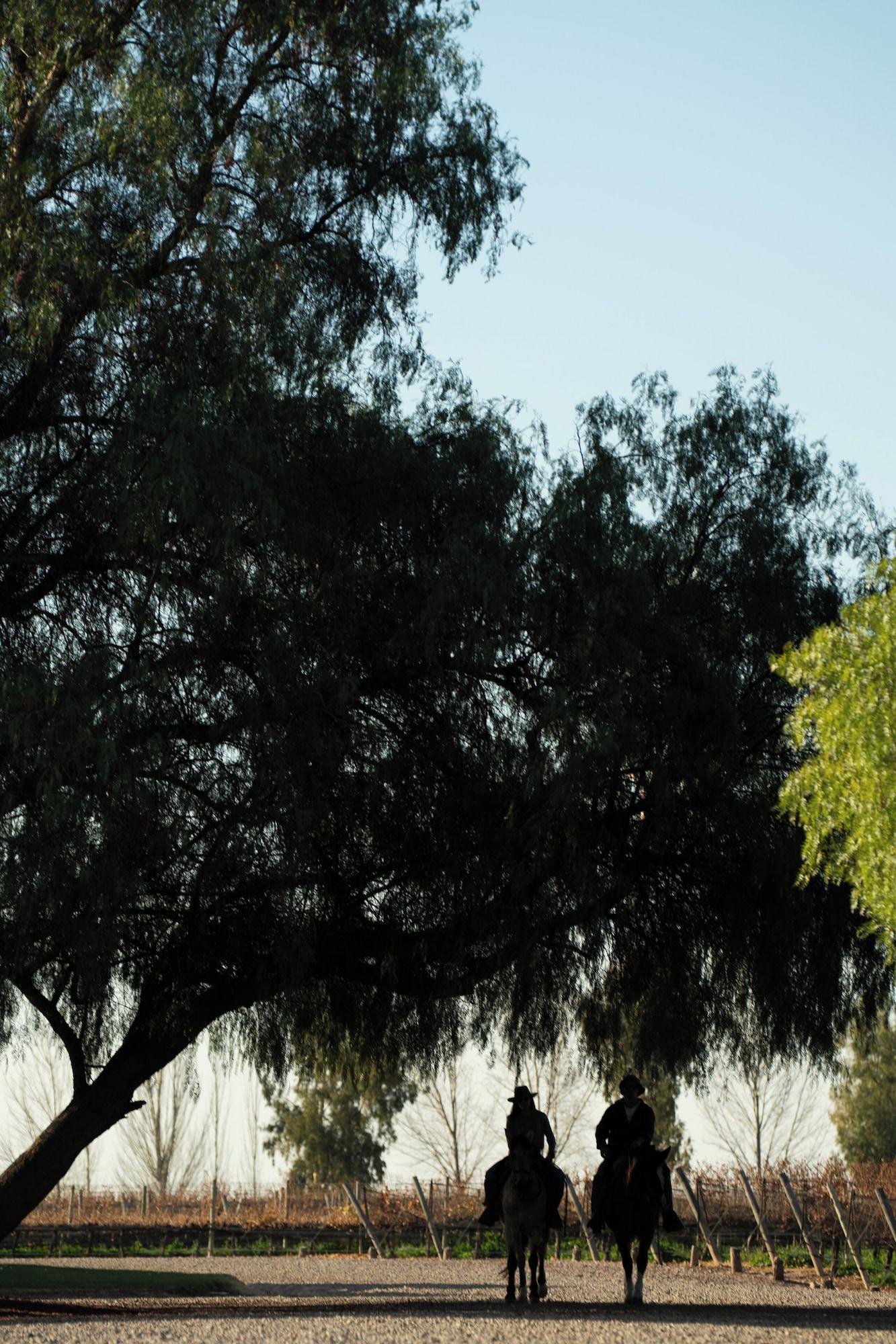 Instalaciones Recreativas Awasi Mendoza