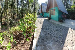 Alojamiento - Hotel Pousada Cabana Da Mata