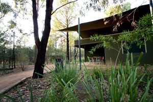 Alojamiento - Zoofari Lodge at Taronga Western Plains