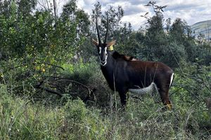 Alojamiento - First Group Qwantani