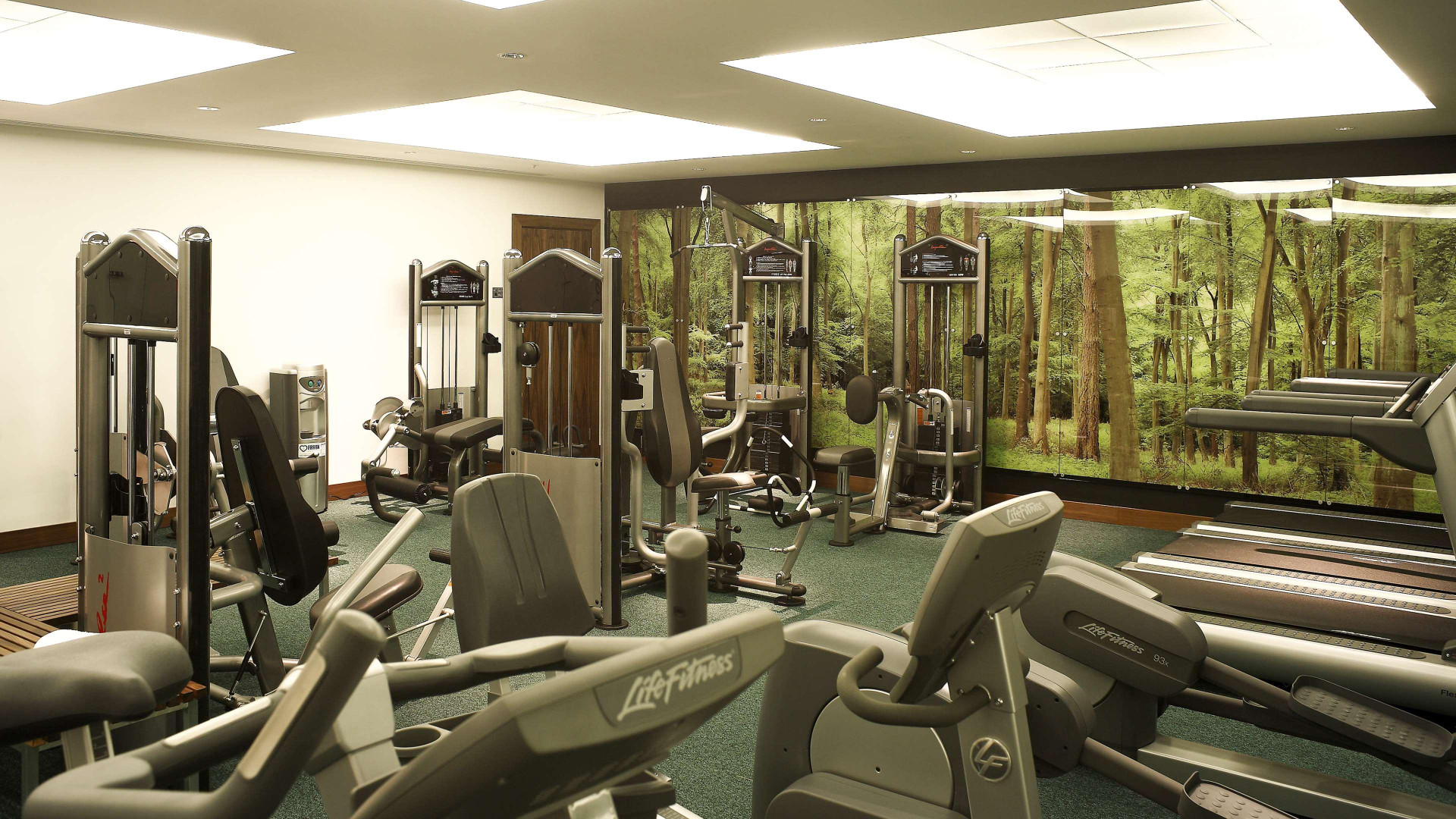 Gimnasio Park Plaza County Hall London