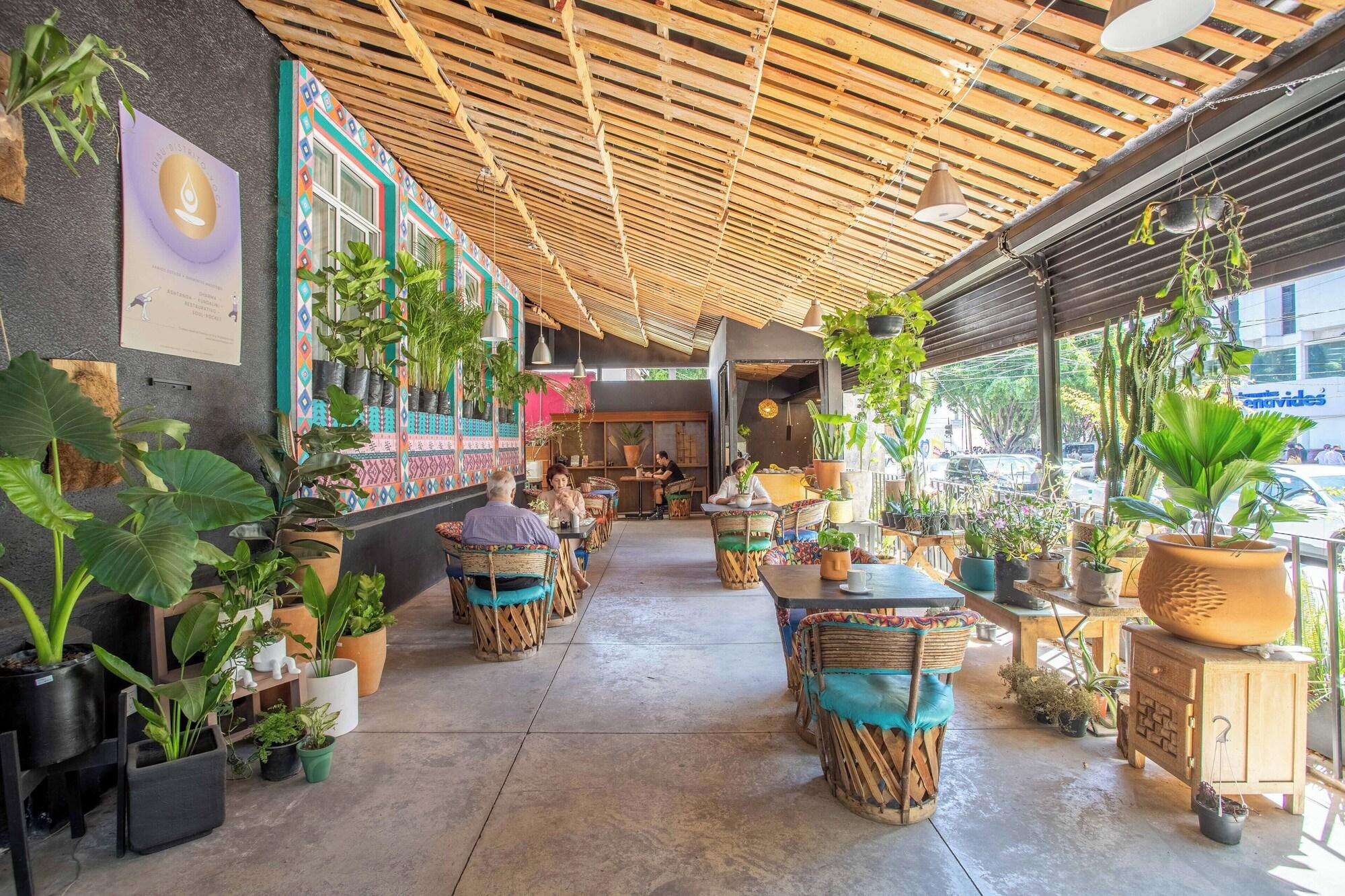 Equipamiento de Habitación La Paz & Love Hostel