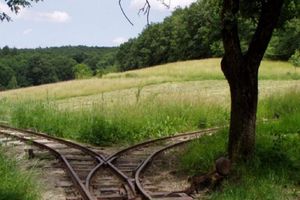 Actividad - Experiencia vinícola en los Cárpatos - Excursión de un día completo para grupos pequeños