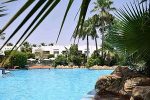 Alquiler Vacacional - Romantic and cozy Studio