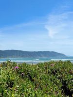 Alquiler Vacacional - Redwood RV Park