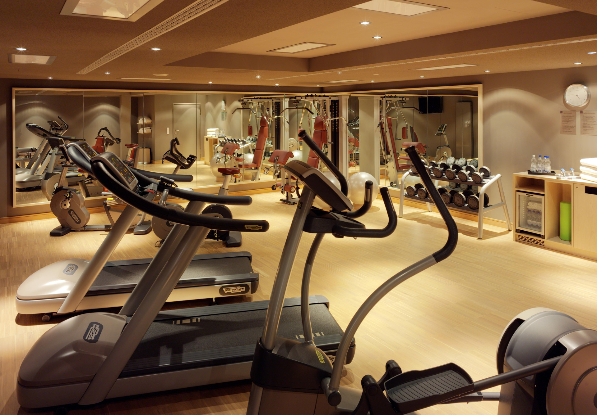 Gimnasio HYPERION Hotel Dresden Am Schloss