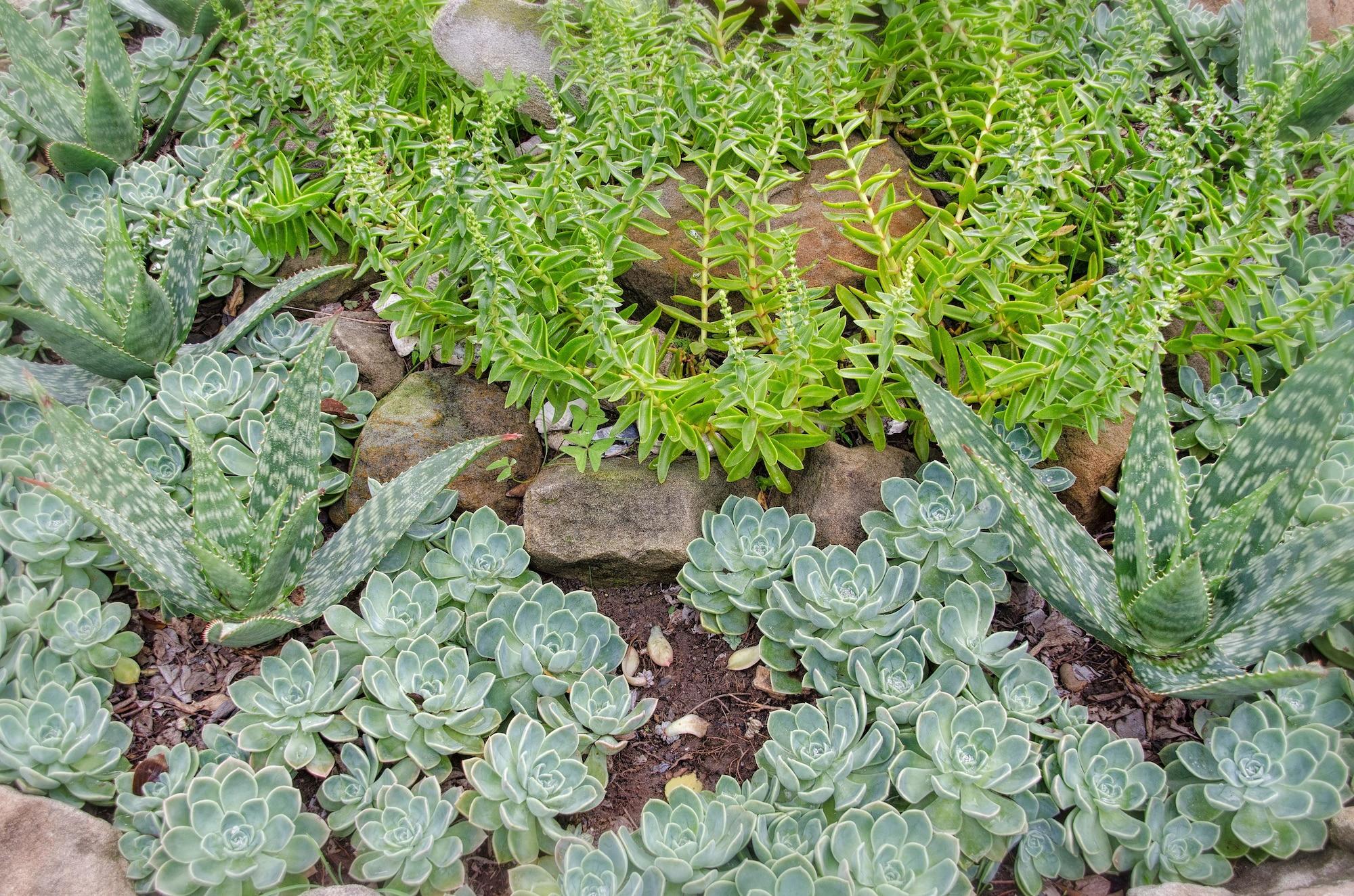 Comodidades del Alojamiento Cornerstone B&B