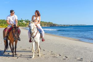 Alojamiento - Barceló Montelimar - All Inclusive