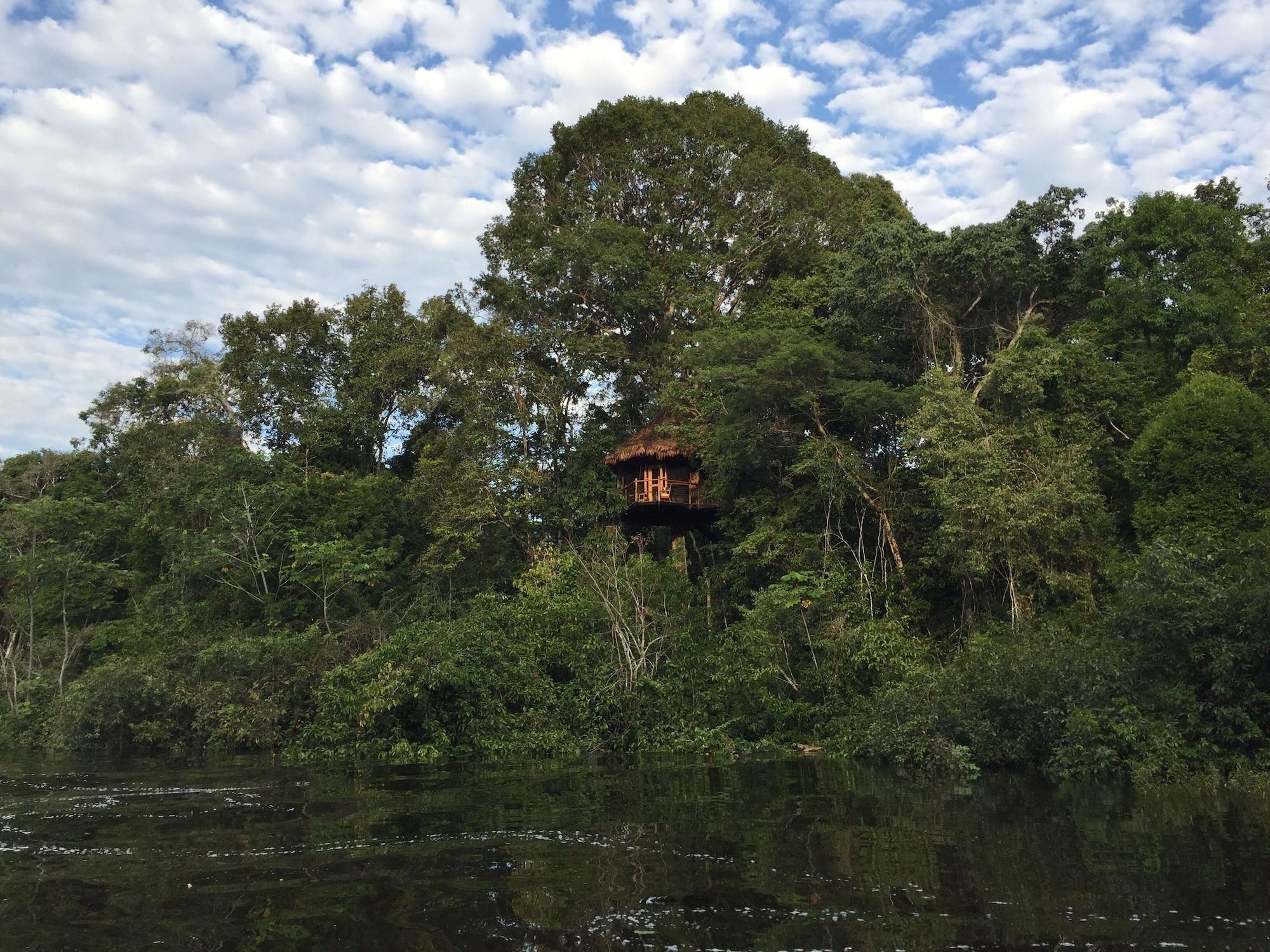 Vista Exterior Treehouse Lodge