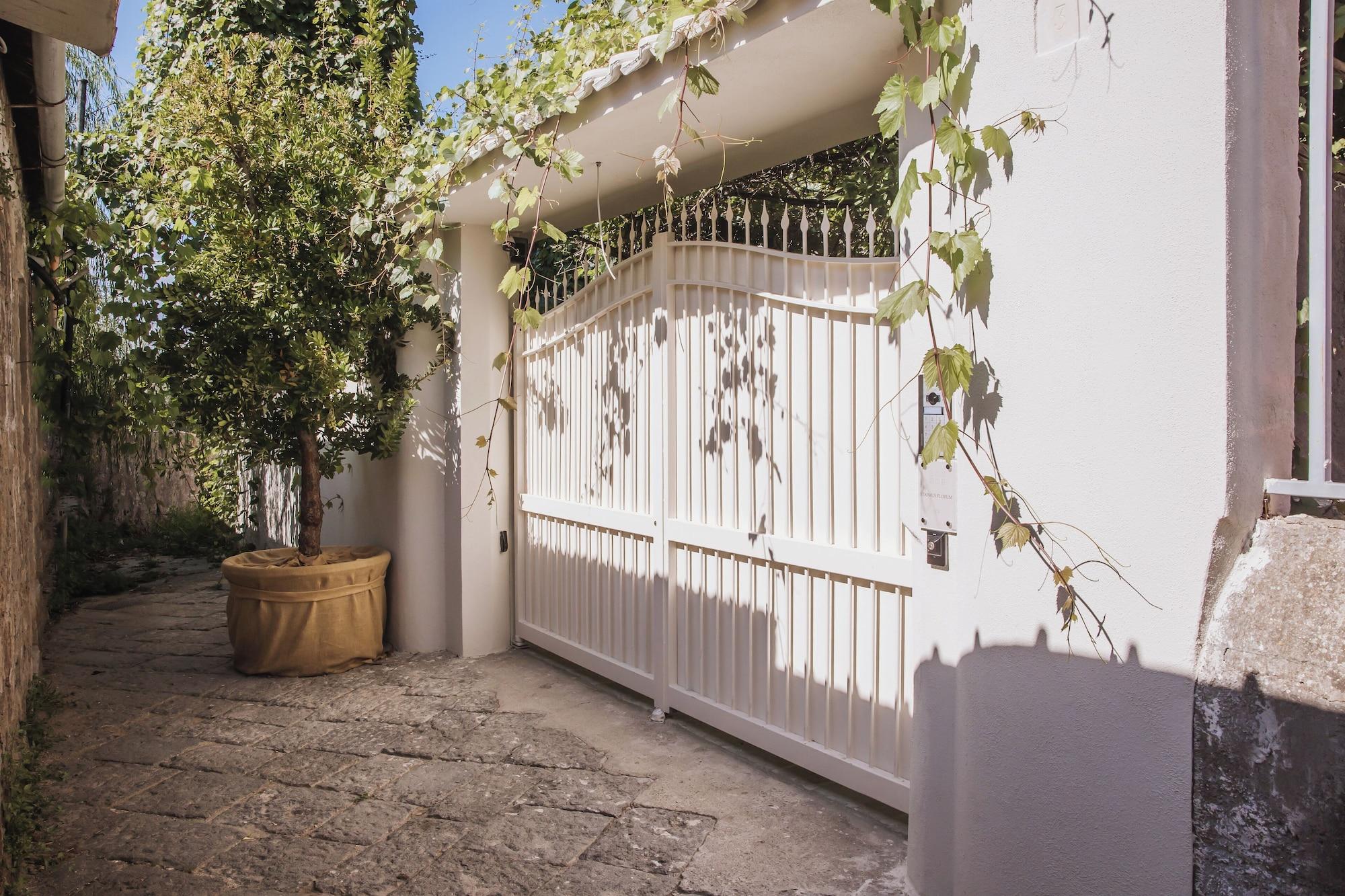Varios Domus Florum Sorrento