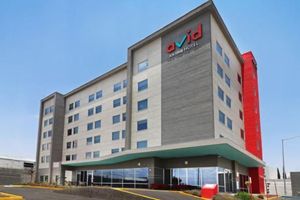 Alojamiento - Hotel Avid Queretaro  Centro Sur