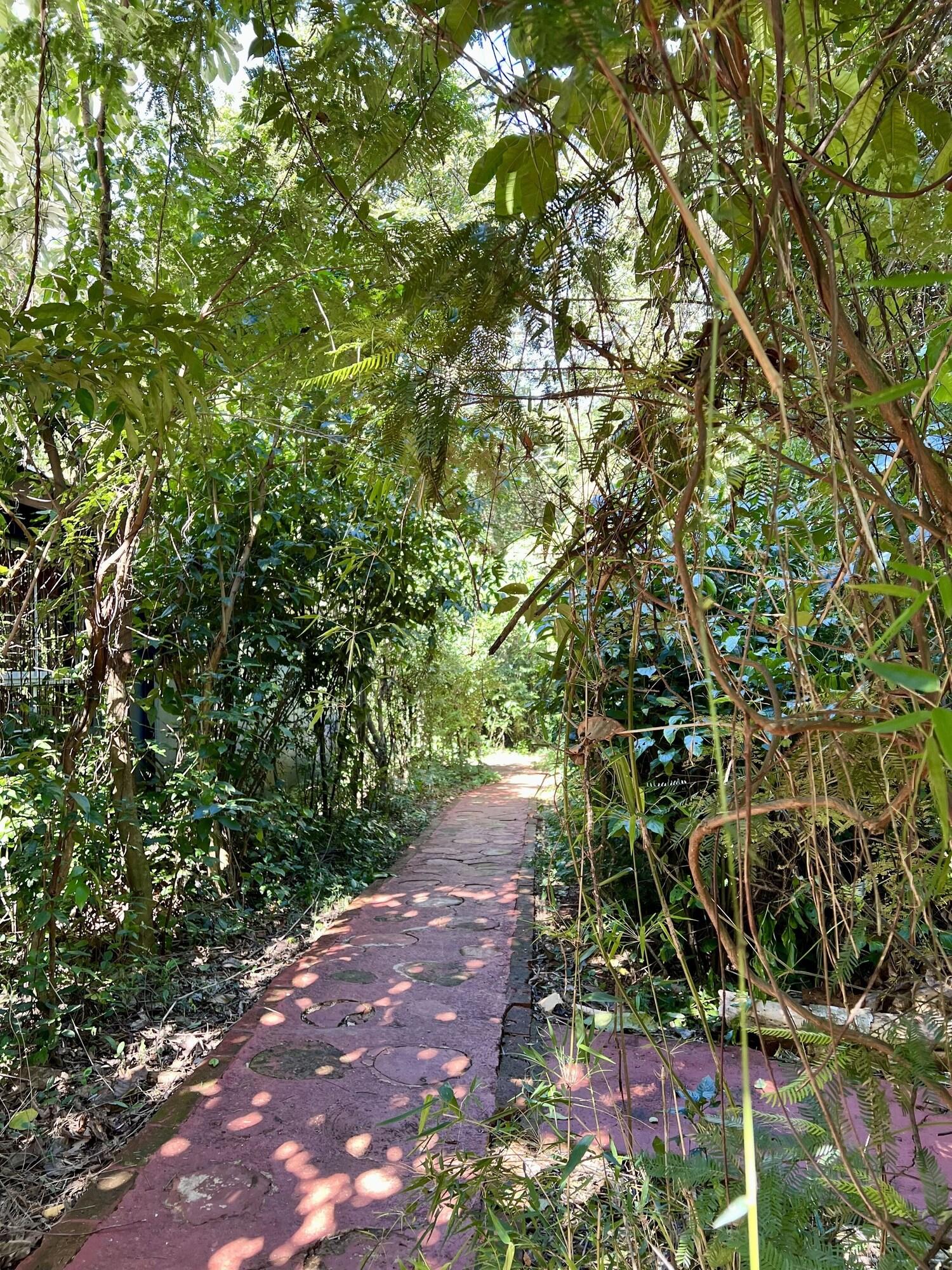 Vista Exterior Rainforest Hotel & Cabañas