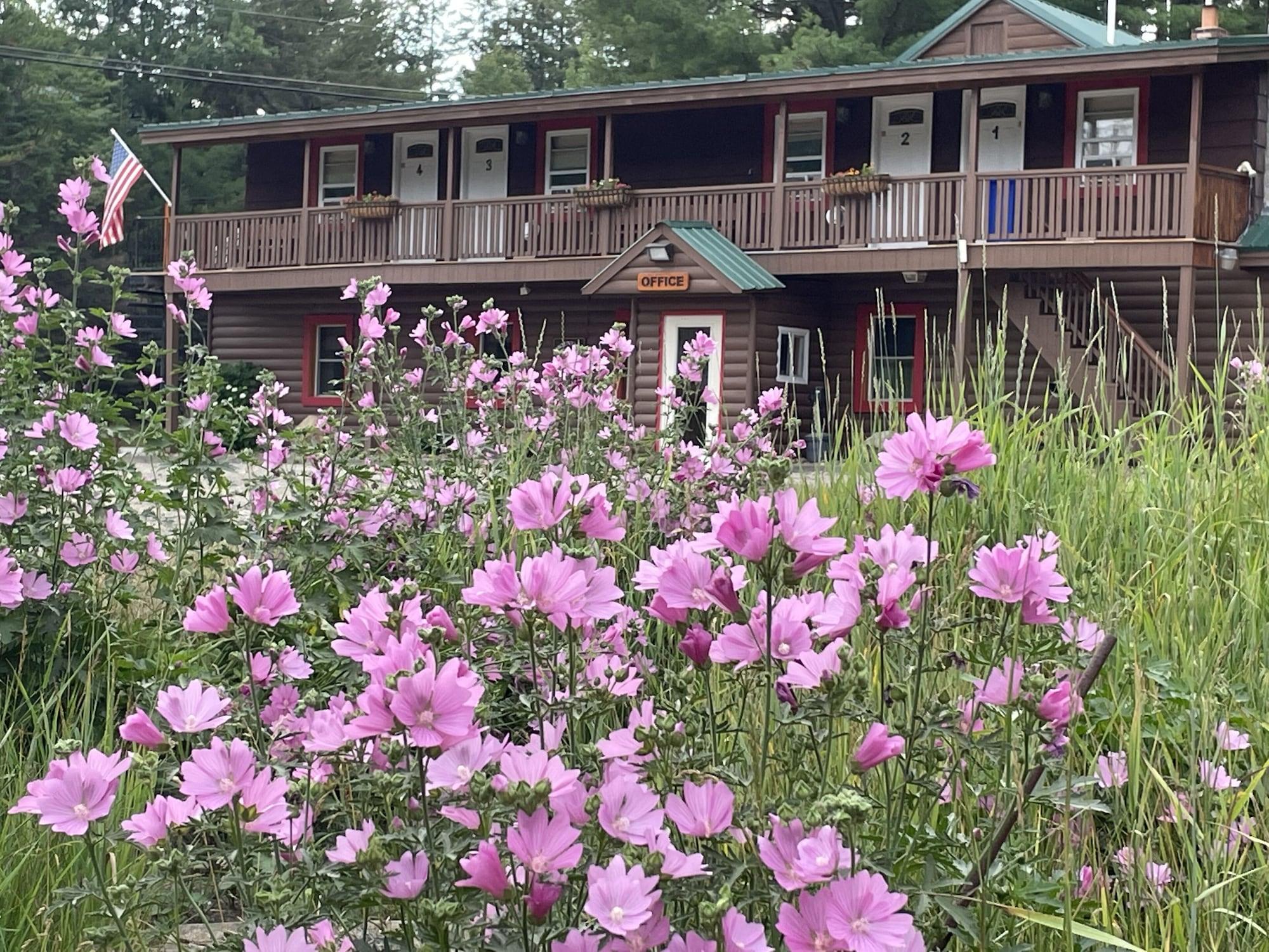 Vista Exterior Mountain View Motel & Campground