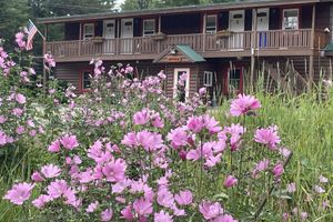 Alojamiento - Mountain View Motel & Campground