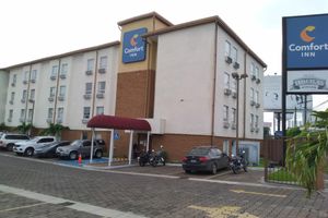 Alojamiento - Comfort Inn Real San Miguel