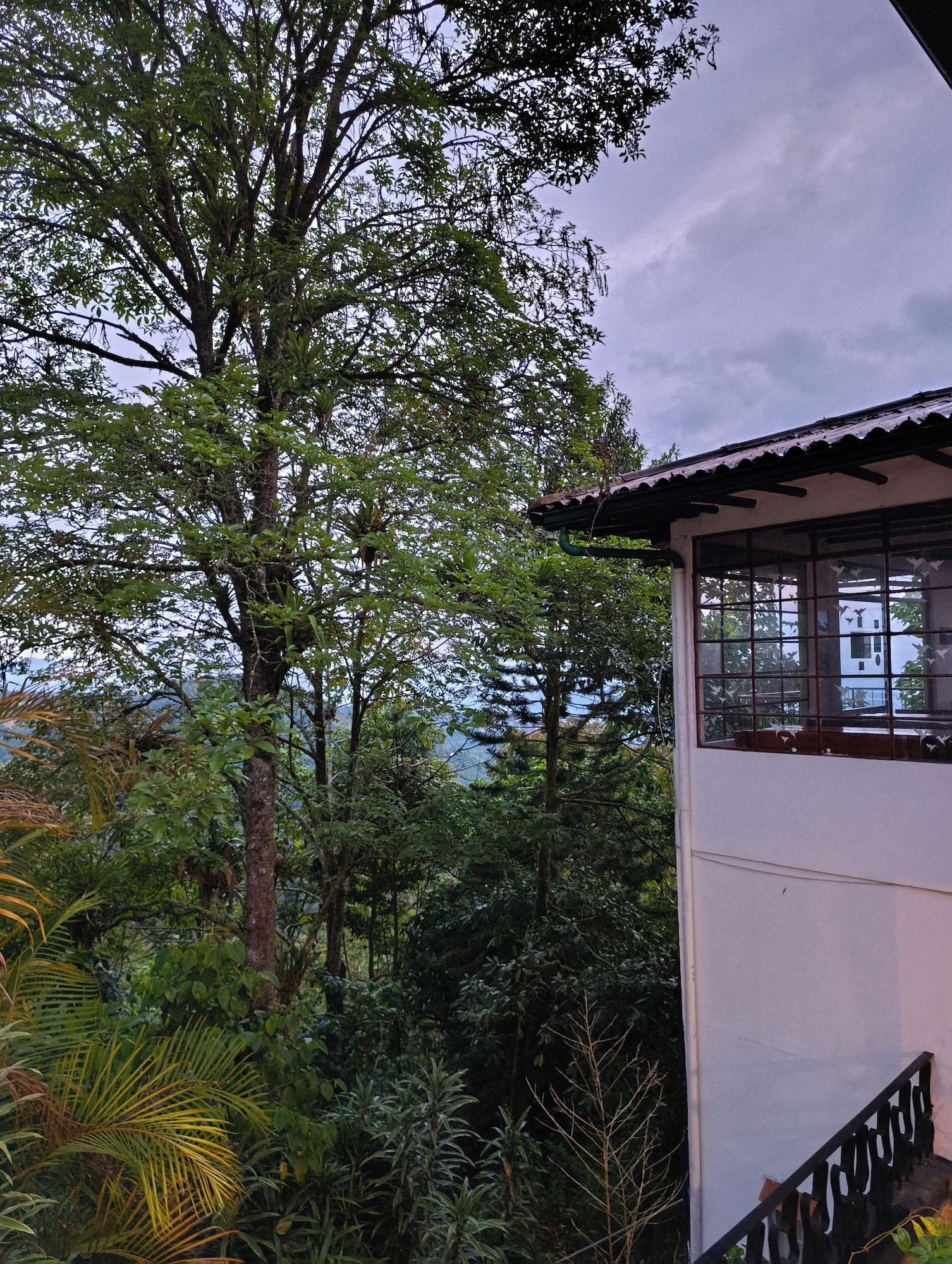 Vista Exterior Eco Lodge La Juanita