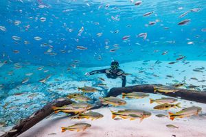 Actividad - Recanto Ecológico Rio da Prata