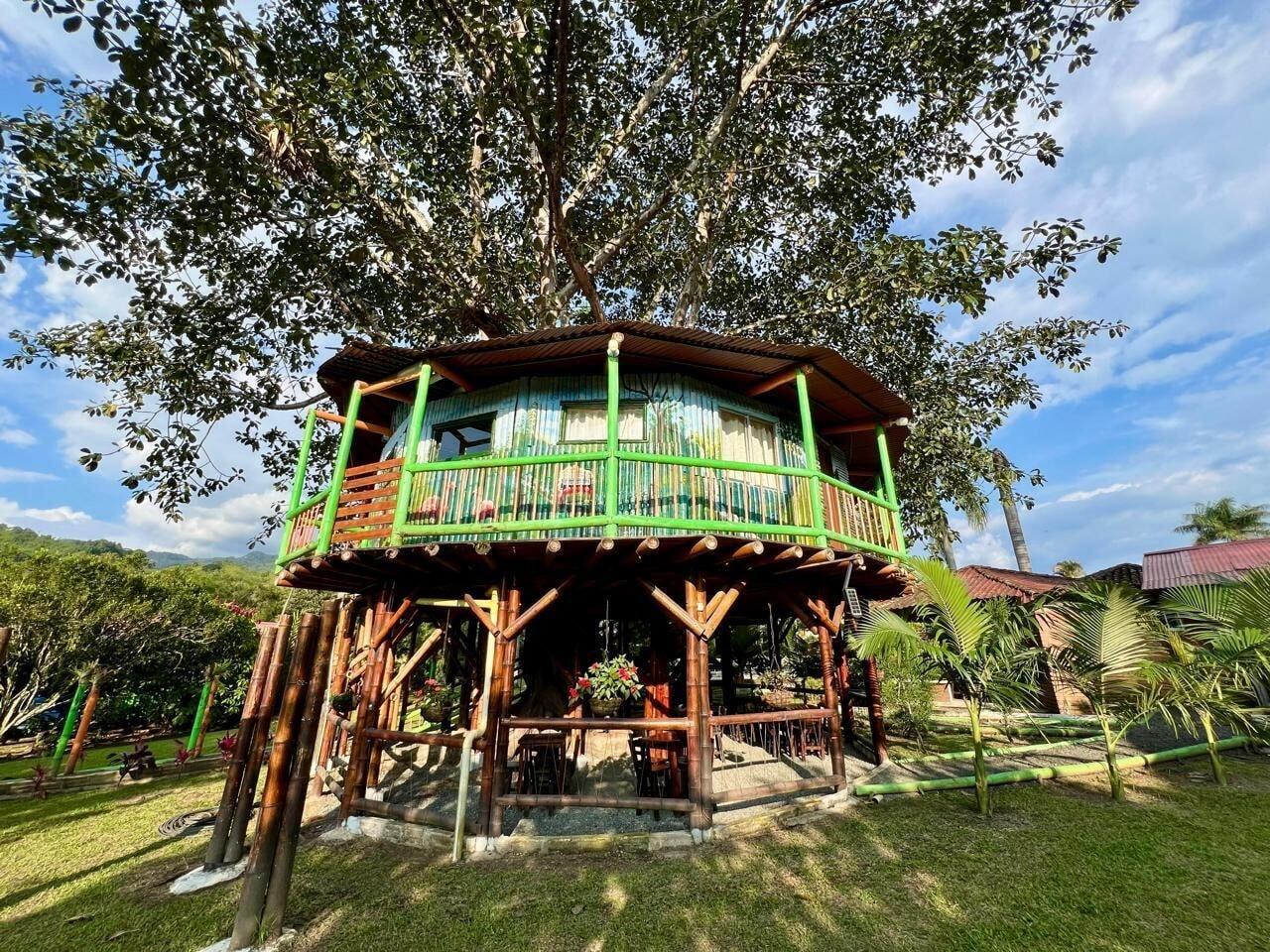 Vista Exterior Eco Hotel Green Eden