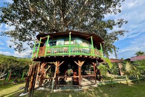 Alojamiento - Eco Hotel Green Eden