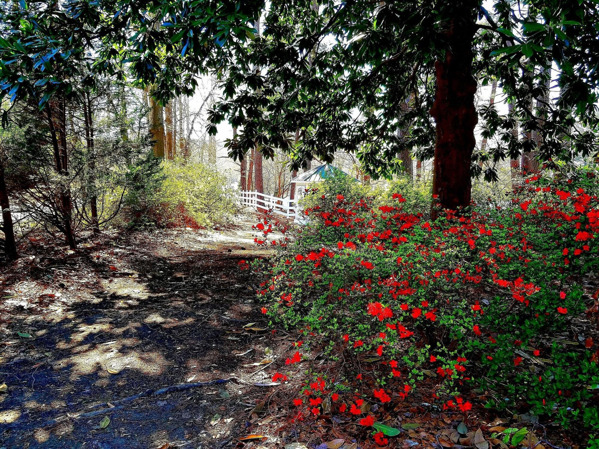 Vista Exterior Stockbridge Lakes Bed & Breakfast