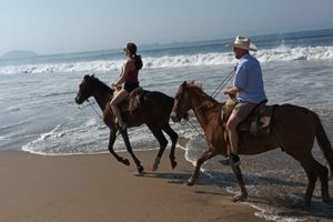 Actividad - Paseo a caballo por Ixtapa Zihuatanejo