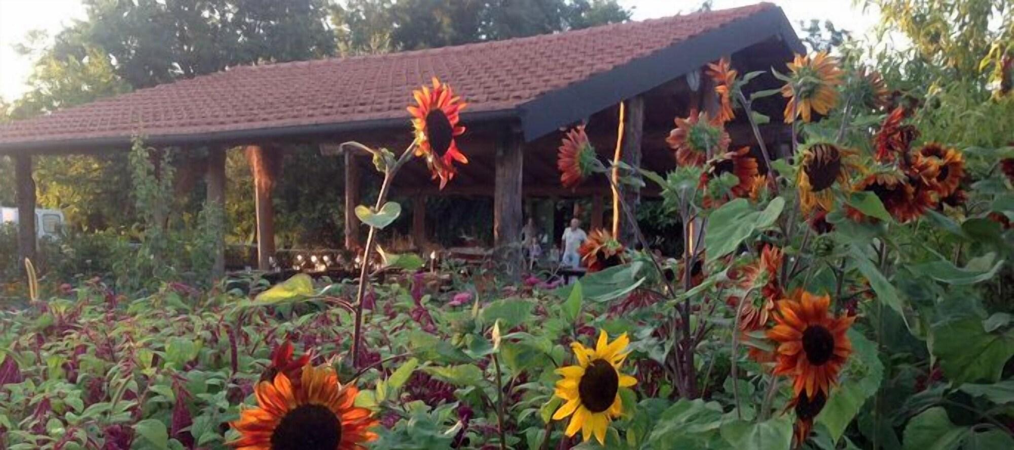 Varios Agriturismo Cascina degli Ulivi