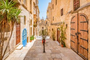 Actividad - Recorrido histórico autoguiado a pie por Valletta
