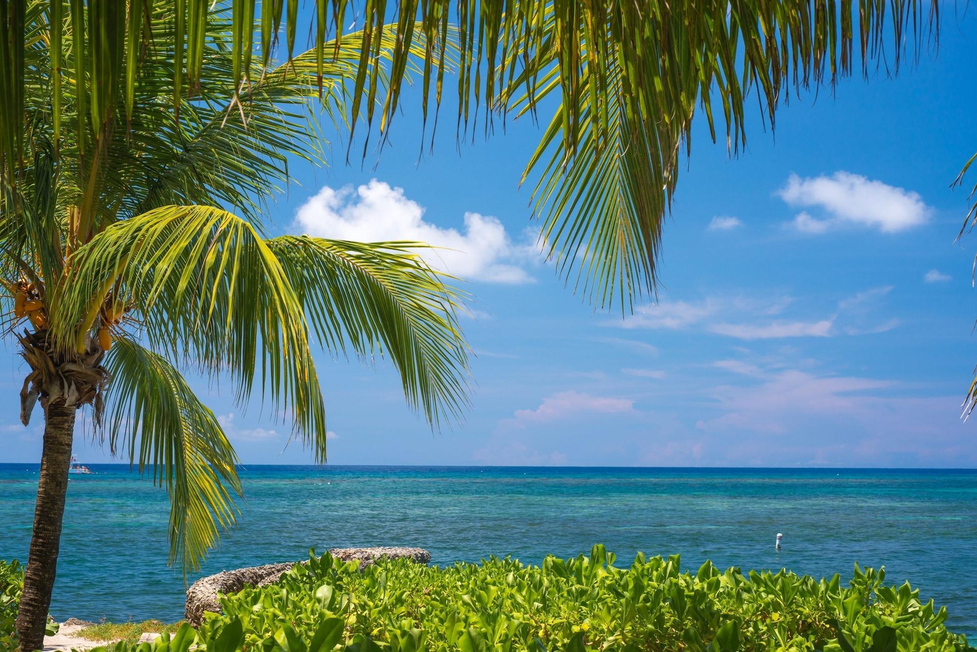 Playa Las Rocas Resort And Dive Center