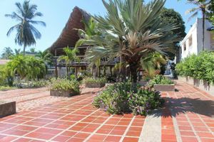 Alojamiento - Hotel Dorado Plaza Punta Arena