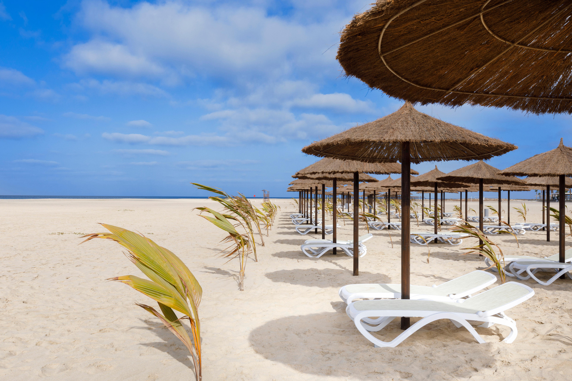 Playa Hotel Riu Palace Santa Maria - All Inclusive