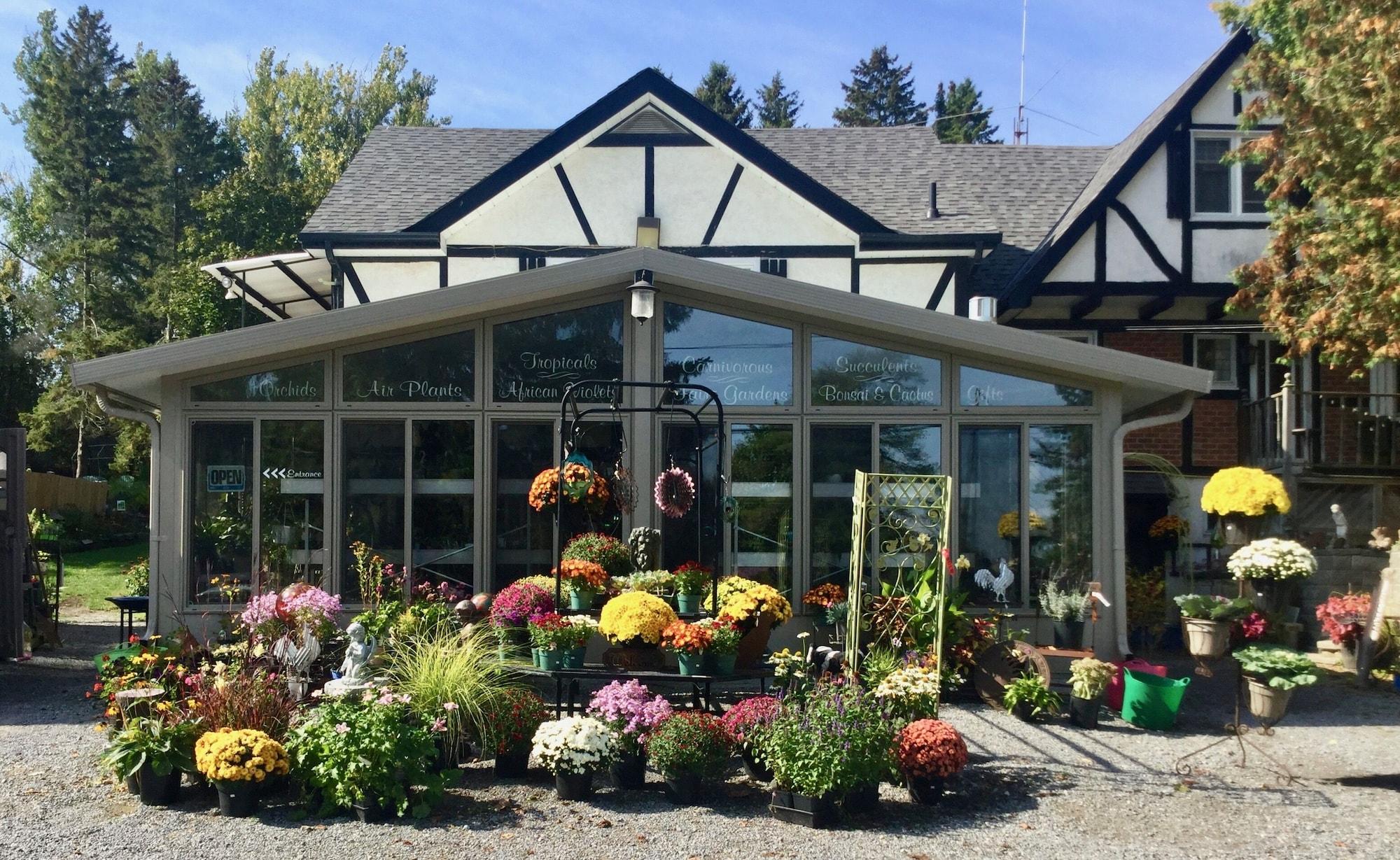 Varios Burleys Gardens and Suite