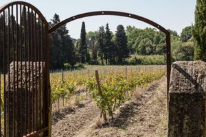 Alojamiento - Le Chateau des Cinq Cantons
