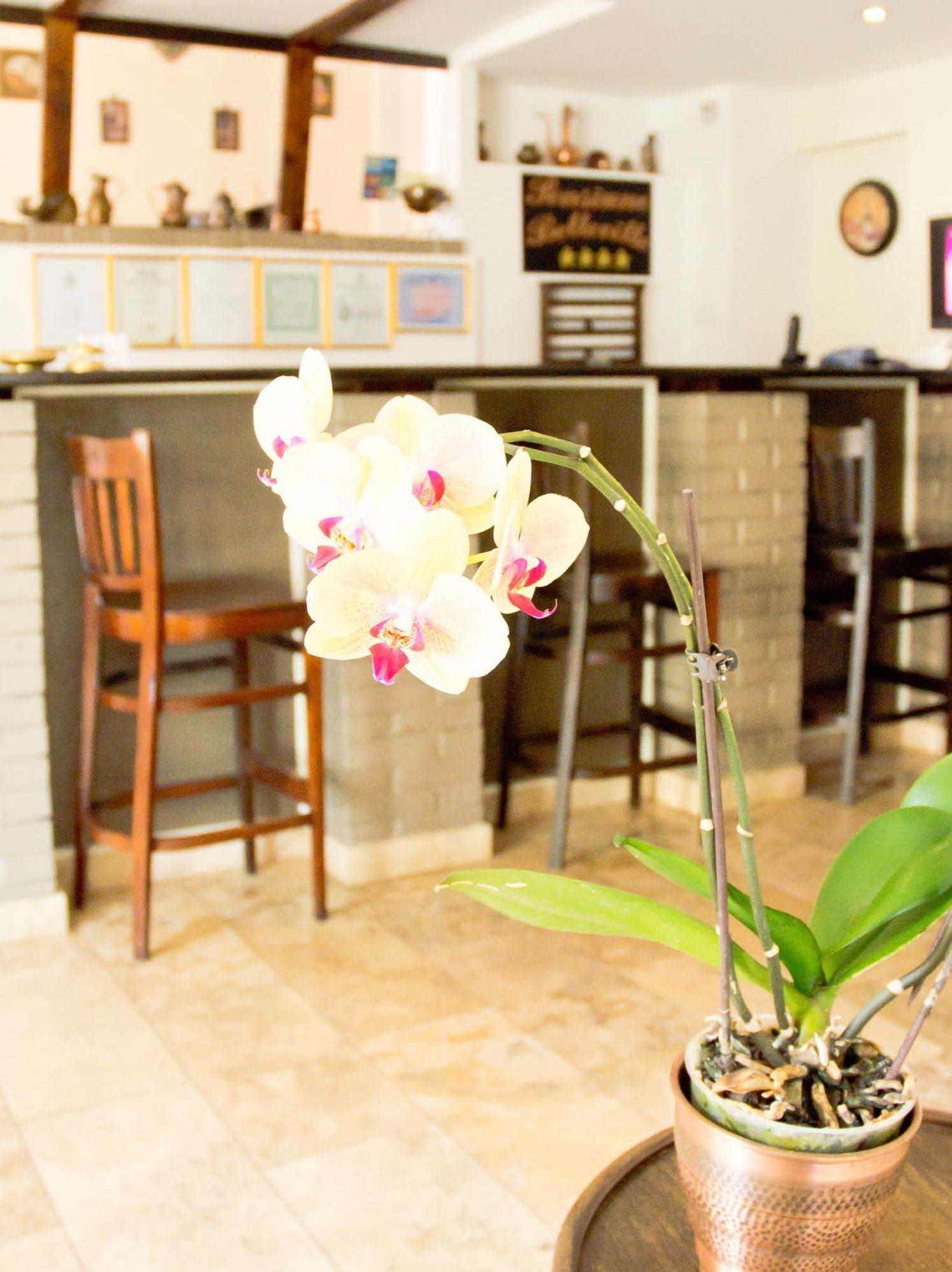 Vista Lobby Belleville