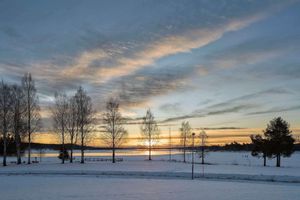 Alojamiento - Scandic Bollnäs