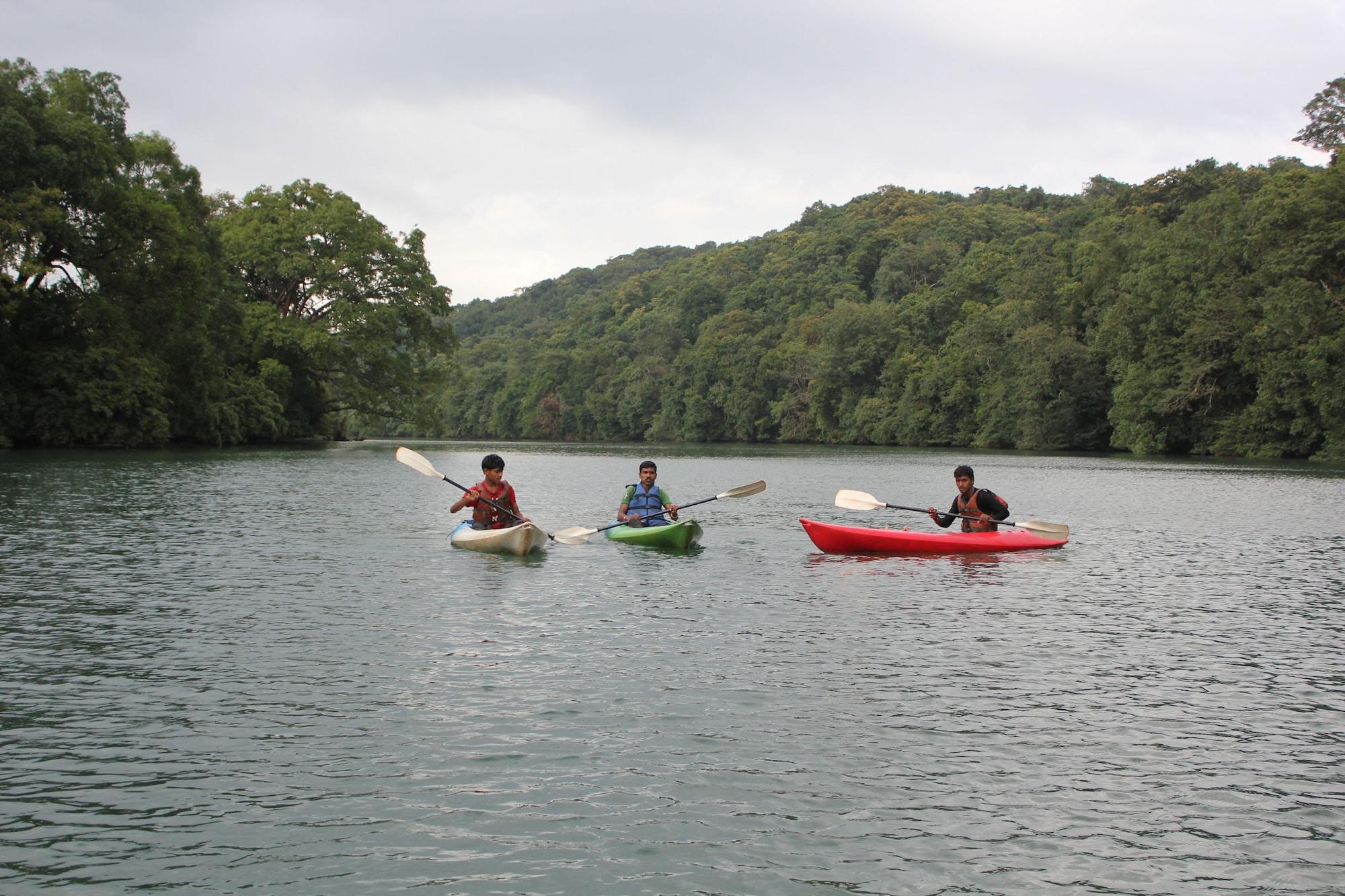 Instalaciones Recreativas Jungle Nest Homestay