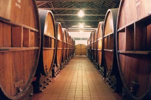Actividad - Caminos del Vino y fábrica de aceite de Mendoza