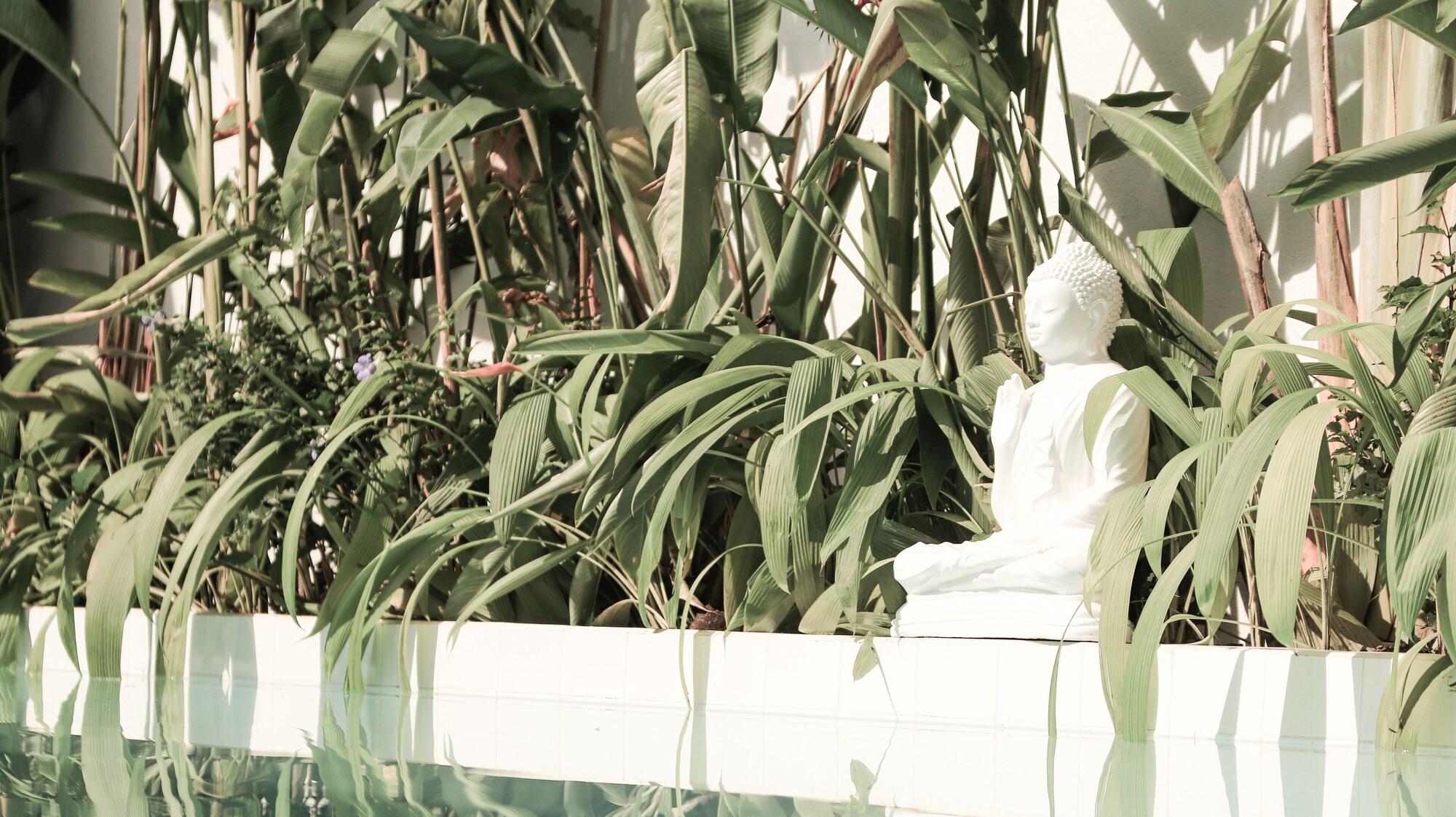 Vista Exterior The Oasis