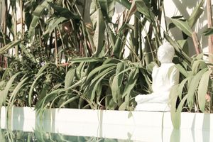 Alojamiento - The Oasis