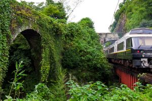 Actividad - Kyushu SUNQ Pass